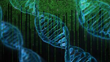 ADN genoma