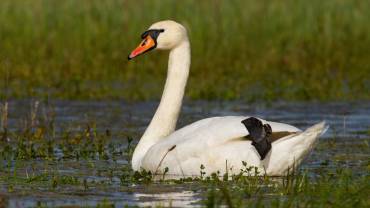 Ordenamiento territorial