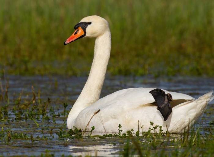 Ordenamiento territorial