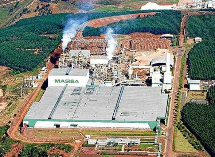 Masisa