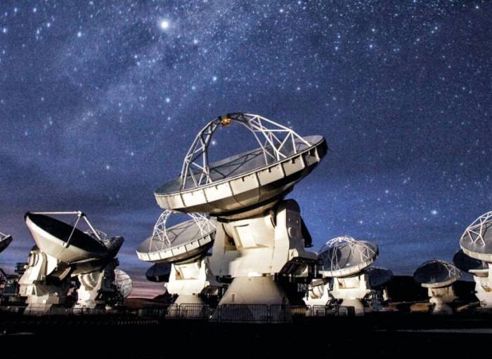 Priscilla Nowajewski