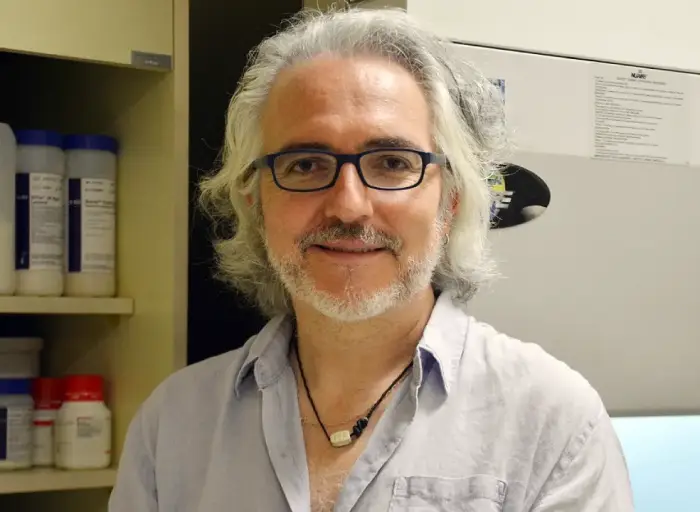 Luis Larrondo
