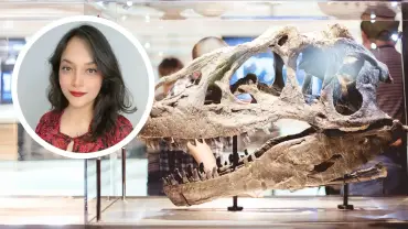 Andrea Yévenes