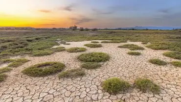 María Teresa Ruíz-Tagle