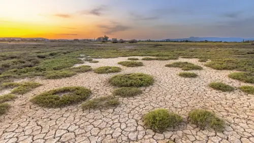 María Teresa Ruíz-Tagle