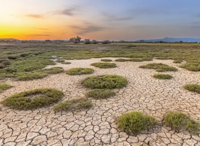 María Teresa Ruíz-Tagle