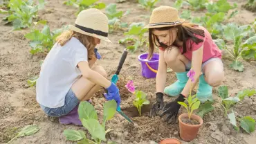 Santiago Ecofest 2025