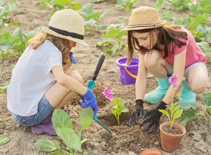 Santiago Ecofest 2025