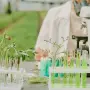 María Paz Merino: “La agricultura cuenta con un gran potencial para la incorporación de biotecnología”