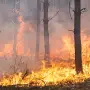 “Buscamos predecir, monitorear y generar resiliencia ante eventos climáticos extremos”